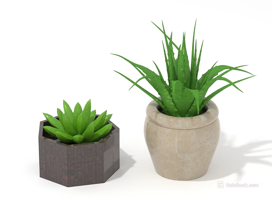 Green Aloe Vera And Succulent Plants In Dark Hexagonal And Beige Clay Pots 3d model 