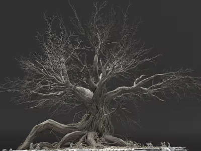 Leafless Tree With Thick Trunk Twisted Roots And Bare Branches In Gray Background 3d model