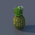 Fresh Ripe Pineapple with Green Leafy Crown and Yellow Green Textured Skin