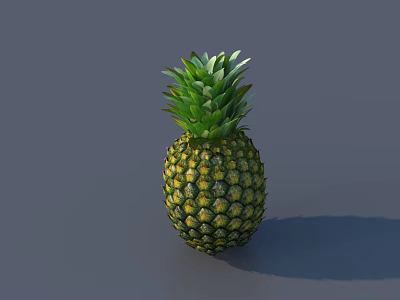 Fresh Ripe Pineapple with Green Leafy Crown and Yellow Green Textured Skin 3d model