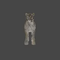 Realistic Puma 3D Model With Detailed Fur And Blue Eyes On Gray Background