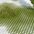 Park Landscape Design With Stone Paved Path Circular Wooden Platforms Green Plants And Grass Patches