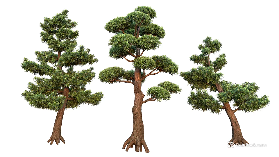 Three Different Arbor Trees With Lush Foliage And Thick Trunks On White Background 3d model 