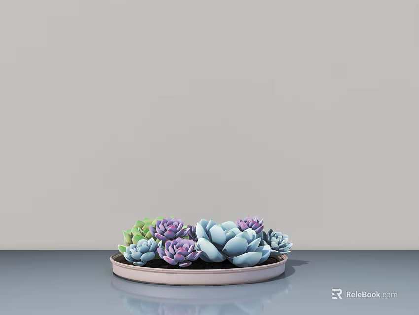 Colorful Succulent Potted Plants In Light Pink Tray On Gray Surface 3d model 