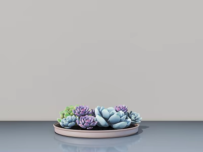 Colorful Succulent Potted Plants In Light Pink Tray On Gray Surface 3d model
