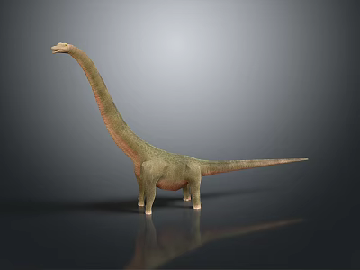 Realistic Long Neck Dinosaur 3D Model With Gray Background And Detailed Texture 3d model