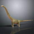 Realistic Long Neck Dinosaur 3D Model With Gray Background And Detailed Texture 3d model