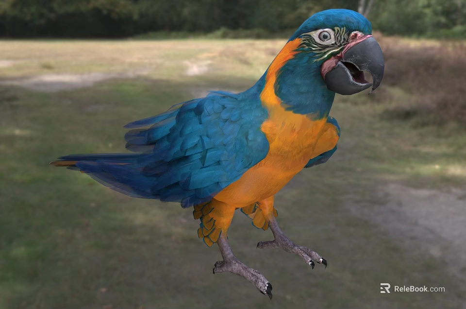 Blue And Yellow Parrot A Flying Animal With Vibrant Feathers On Green Grass Field 3d model 