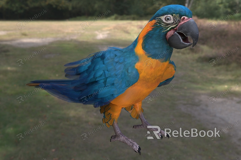 Blue-throated macaw Bolivian macaw model