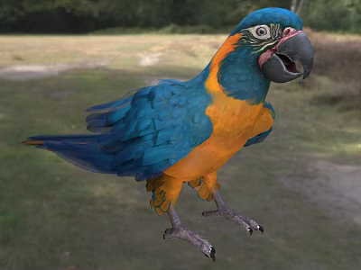 Blue And Yellow Parrot A Flying Animal With Vibrant Feathers On Green Grass Field 3d model