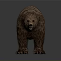 Realistic Brown Bear With Thick Fur Standing In Natural Wildlife Environment