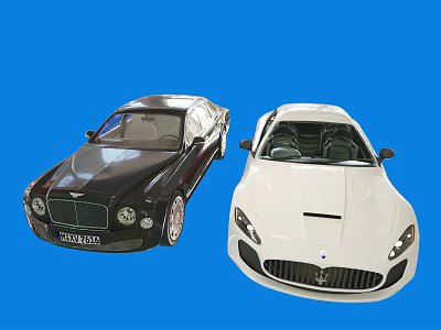 Black And White Luxury Sports Cars With Sleek Design And Stylish Exterior 3d model