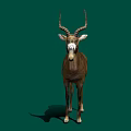Realistic Brown Antelope With Curved Horns Standing On Green Background