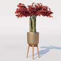 Red Maple Leaf Plant With Multiple Trunks In Brown Pot On Wooden Tripod Stand