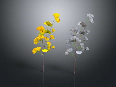 Ornamental Indoor Plants With Yellow And Gray Fan Shaped Leaves On Thin Stems 3d model