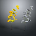 Ornamental Indoor Plants With Yellow And Gray Fan Shaped Leaves On Thin Stems