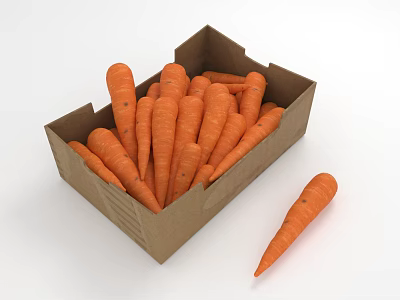 Cardboard Box Full of Fresh Carrots with One Single Carrot Beside 3d model
