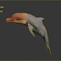 Vibrant Pink And Blue Gradient Dolphin Jumping In Mid Air With Smooth Surface Texture 3d model