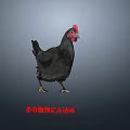 Animated Flying Animal Chicken 3D Model With Rigging And Animation Details 3d model