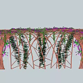 Wooden Pergola Adorned With Lush Green Vines And Purple Flowers