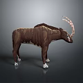 Unique Brown Animal With Long Curved Horns Standing On Dark Surface