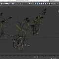 Grass Plants With Green Leaves And Yellow Spikes On Gray Background