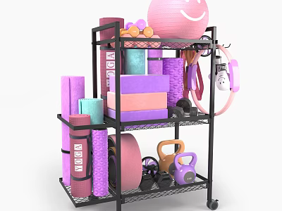 Heavy Duty Metal Storage Rack With Yoga Mats Dumbbells Kettlebells Exercise Ball For Home Gym 3d model
