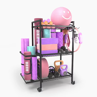 Heavy Duty Metal Storage Rack With Yoga Mats Dumbbells Kettlebells Exercise Ball For Home Gym 3d model