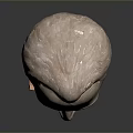 Head Character Portrait Head Various Heads Various Heads Head Carving Head Carving Portrait Face Carving 3d model