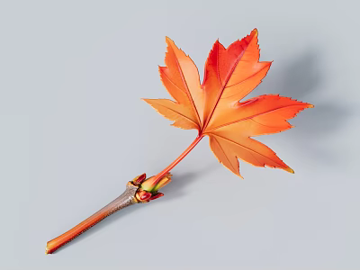 Vibrant Autumn Maple Leaf with Orange Red Tones and Brown Stem on Light Gray Background 3d model