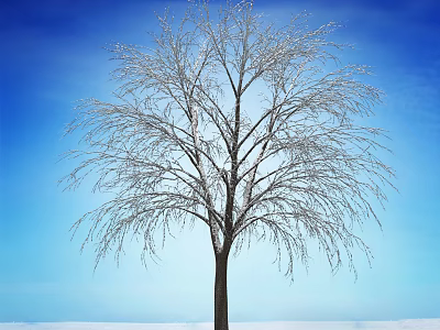 Winter Bare Tree With Snow Covered Branches Against Blue Sky And Snowy Ground 3d model
