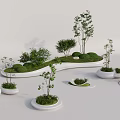 Modern Tree Planters With Various Green Plants Shrubs And Small Trees 3d model