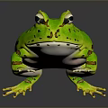 Frog Poison Frog Game Frog Reptile Cold Blooded Animal Reptile 3d model