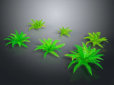 Six Vibrant Green Ferns Arranged on Dark Background With Glossy Leaves 3d model