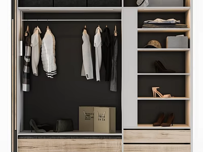 Modern Closet Interior With Hanging Clothes Shelves Shoes Storage Boxes And Drawers 3d model