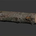 Natural Wood Log With Textured Bark And Smooth Cut Surface 3d model