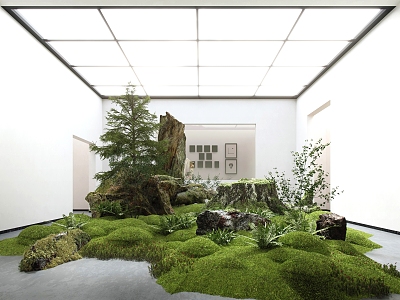 indoor landscaping indoor dead wood landscaping pine moss stone plants 3d model