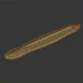 Golden Yellow Millipede With Elongated Segmented Body On Dark Gradient Background