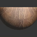 Halved Fresh Coconut with White Flesh and Brown Shell on Black Background