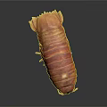 Giant Isopod With Brown Armored Exoskeleton And Many Legs On Dark Background