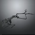 3D Rendered Dinosaur Skeleton Showing Skeletal Organs And Bone Structure Details