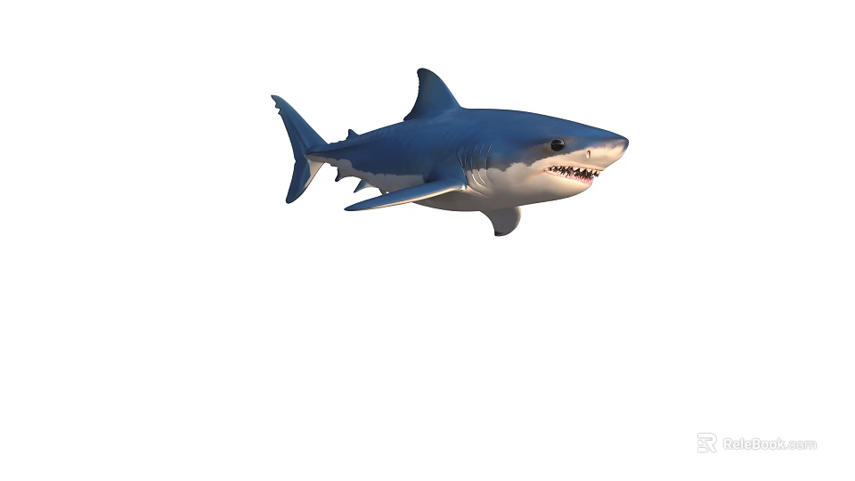 Blue Shark Swimming In Ocean With Sharp Teeth And Fins 3d model 