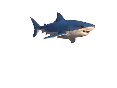 Blue Shark Swimming In Ocean With Sharp Teeth And Fins 3d model