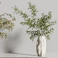 Stylish Potted Bonsai Plants With Unique Shaped White Ceramic Pots And Lush Green Leaves