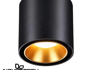 Black Gold Modern Downlight Spotlight With Sleek Design For Indoor Lighting 3d model