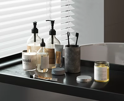 Organized Modern Bathroom Countertop With Daily Washing Essentials Glass Pump Bottles Toothbrushes And Gray Holder 3d model