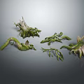 Natural Wooden Stone Decorative Root Sculptures With Green Plant Details