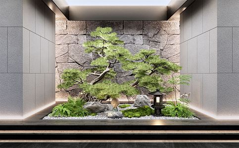 New Chinese style landscape sketch welcome pine courtyard sketch withered stone pine pebbles fern plant landscape Zen small landscape interior landscape 3d model