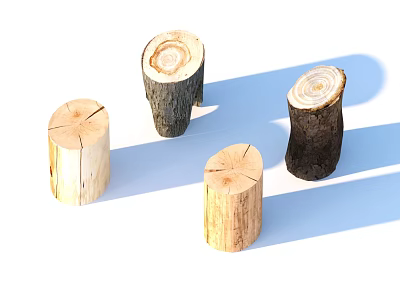 Natural Wooden Tree Stumps With Cross Section Growth Rings And Shadows 3d model