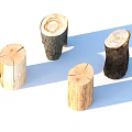 Natural Wooden Tree Stumps With Cross Section Growth Rings And Shadows